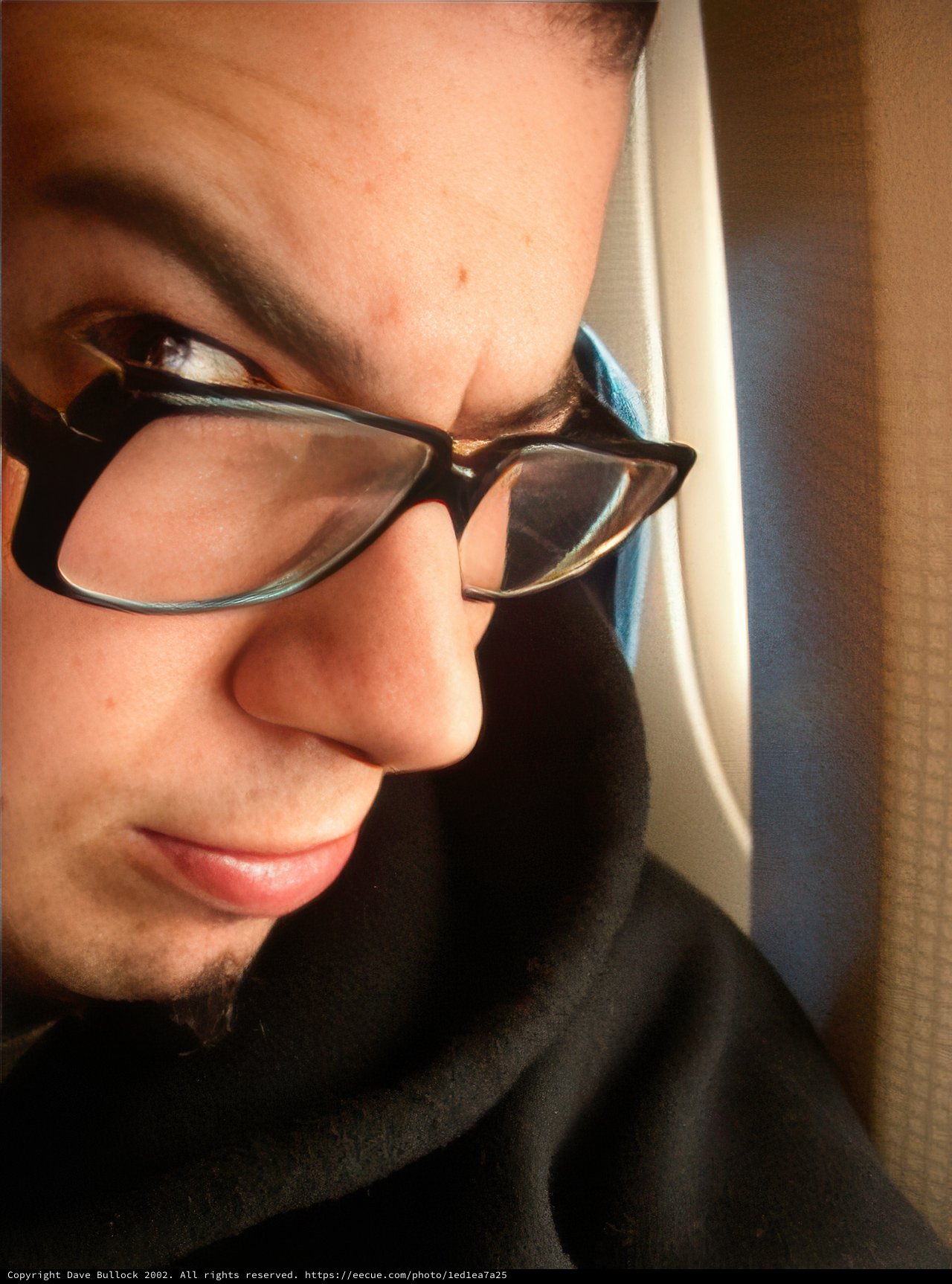 The Spectacled Man