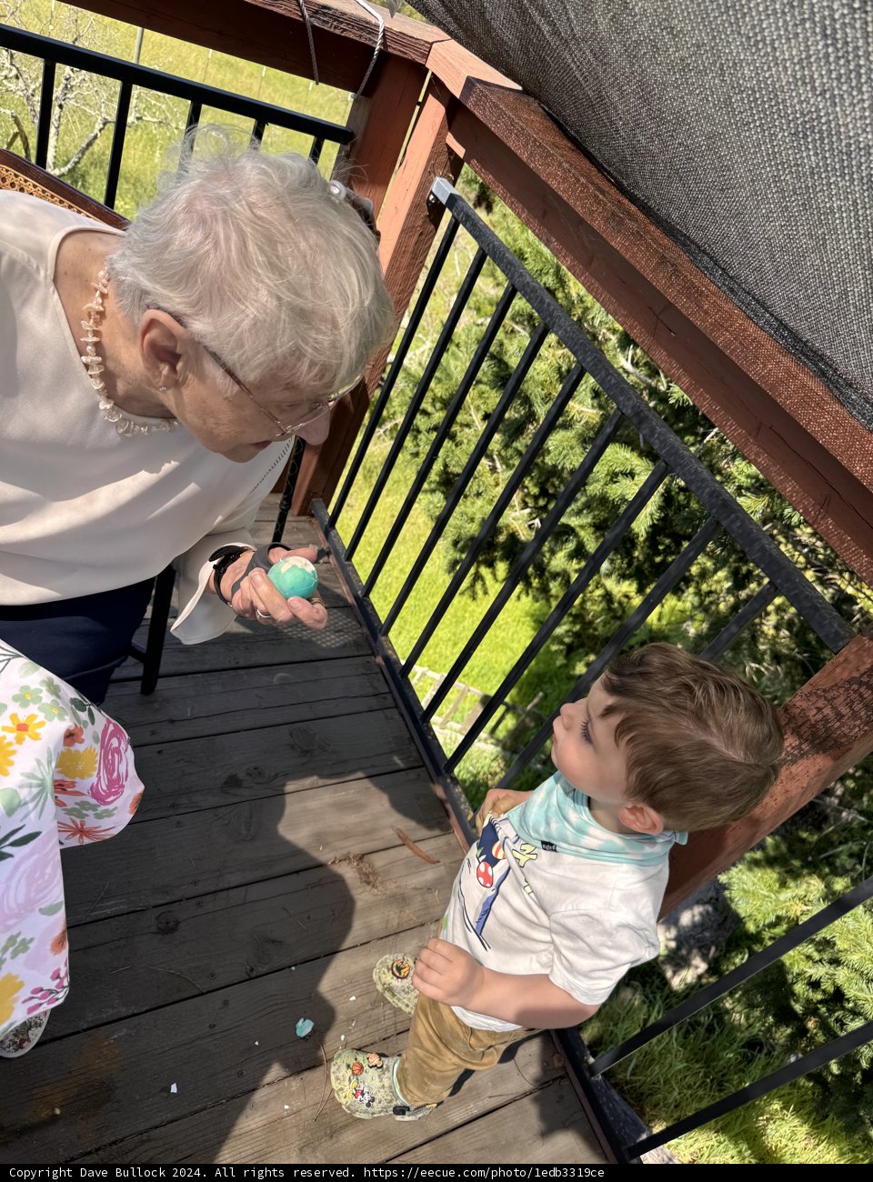 Sunny Moments on the Deck