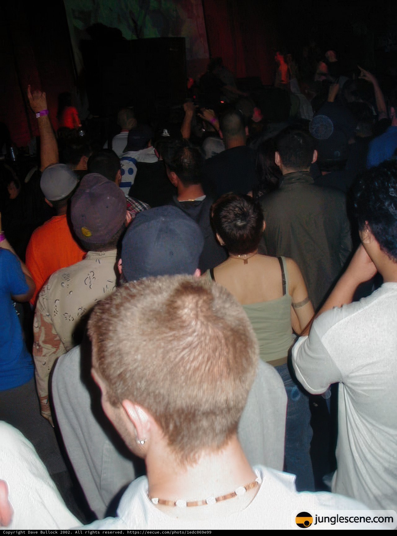 Nightclub Crowd at Databass 17