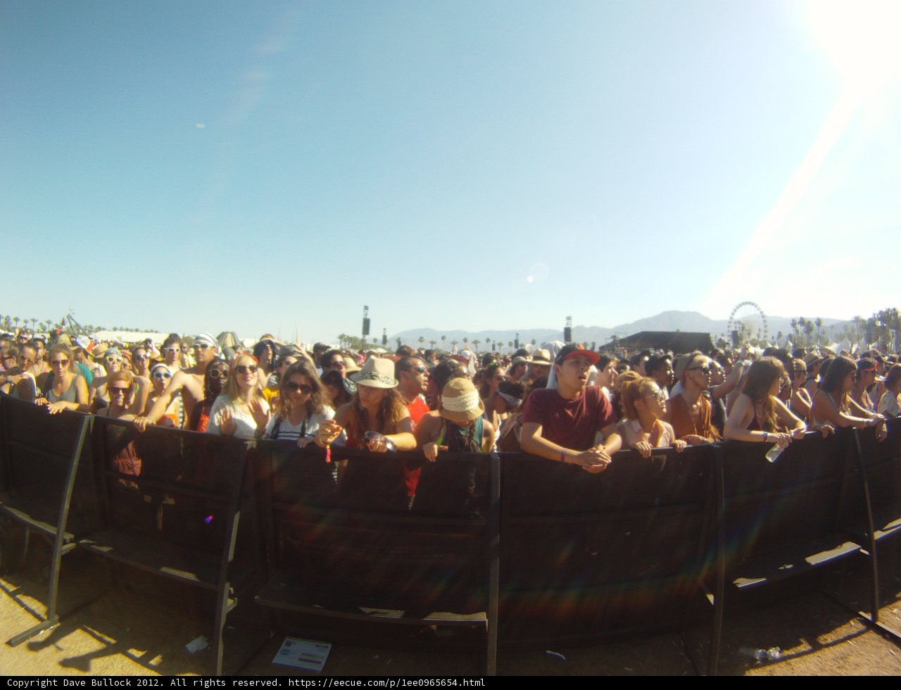 Concert Crowd