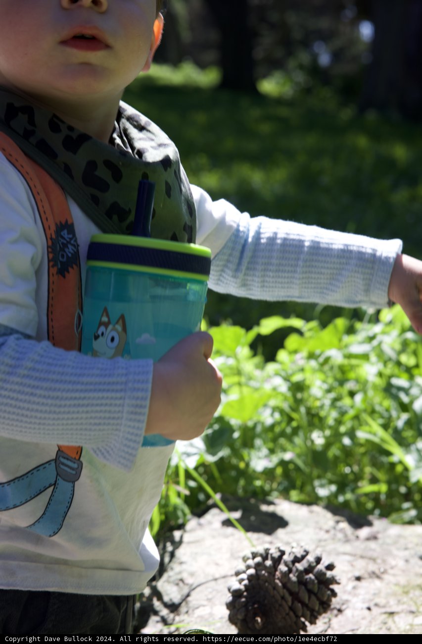 Exploring Nature's Playground