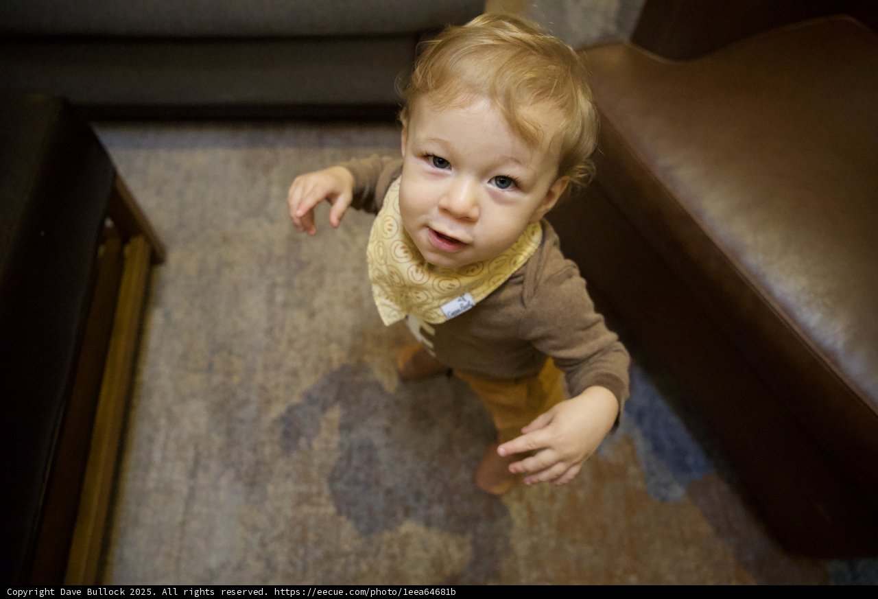 Little Explorer's Delight