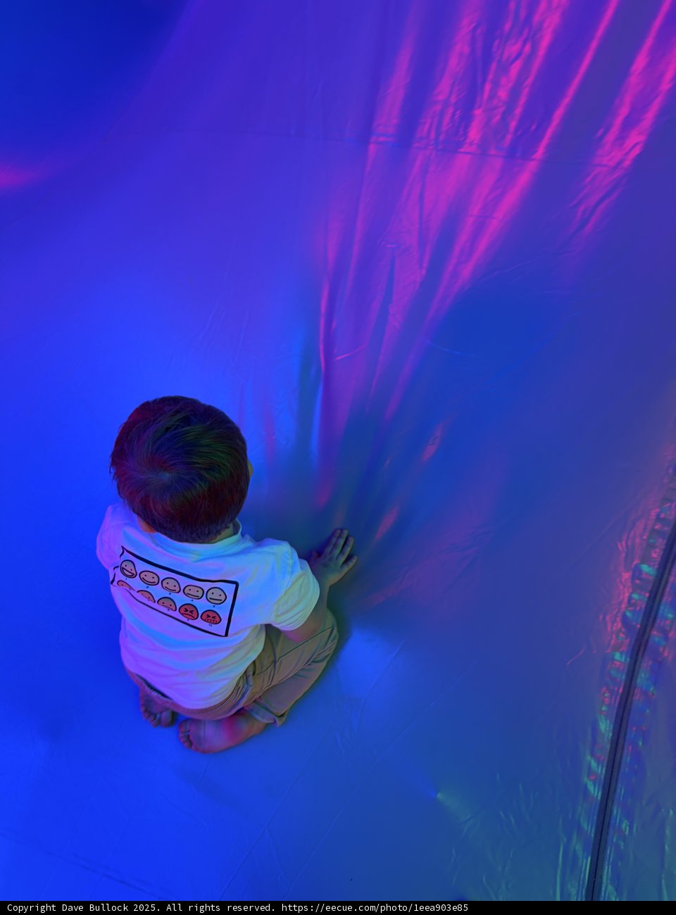 Moments of Wonder