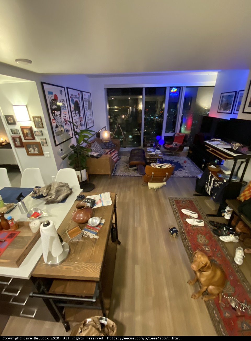Cozy Living Room with a Furry Companion