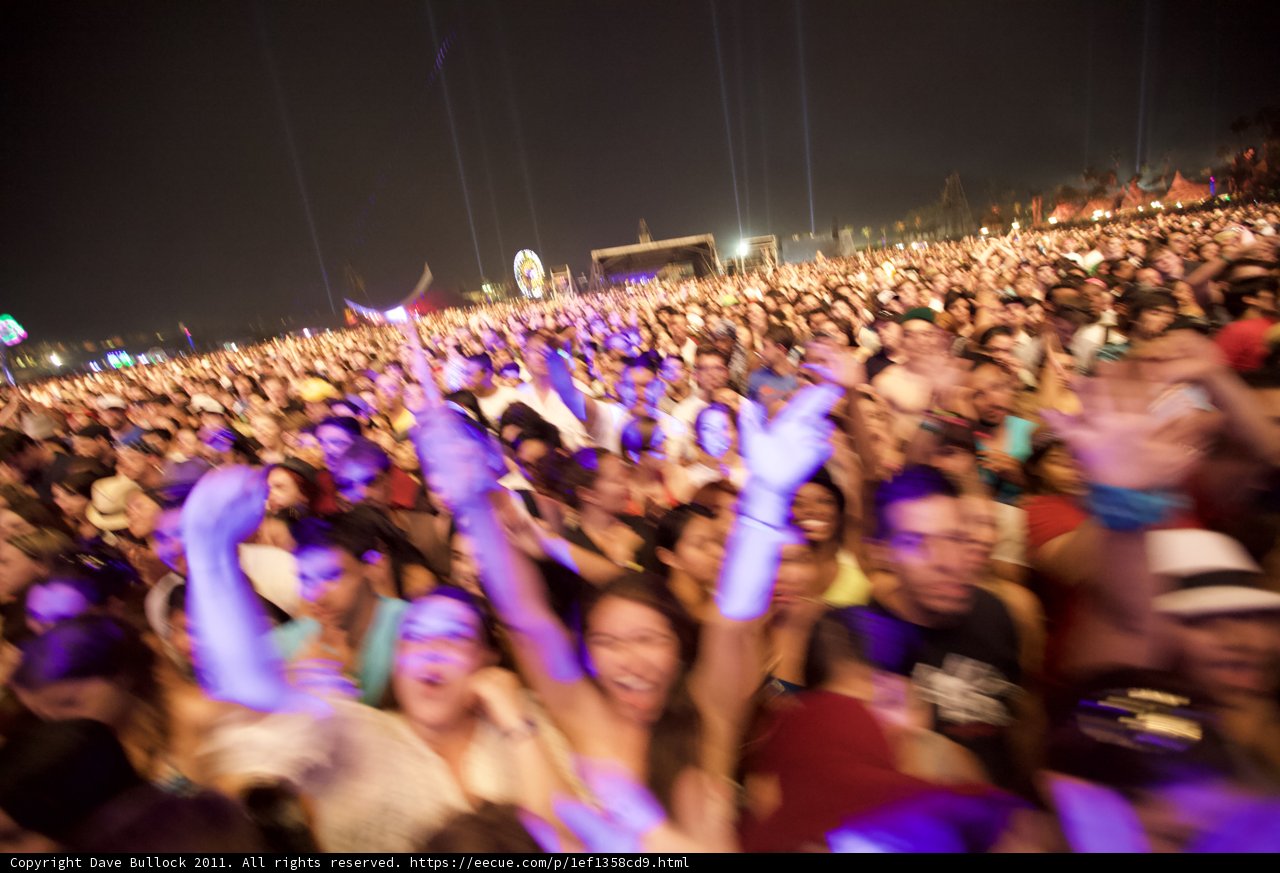 Festival Fever