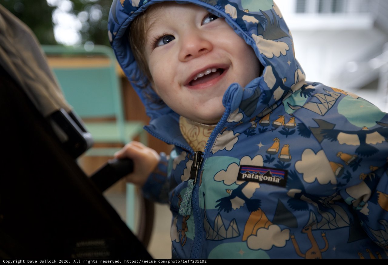 Joyful Toddler in Patagonia Winter Jacket