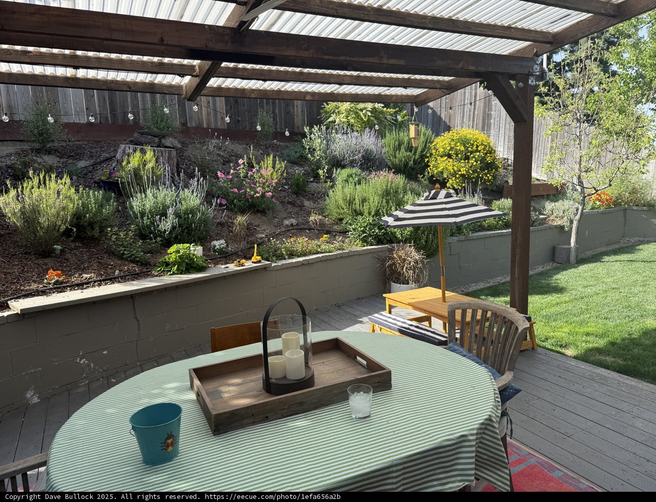 Serene Backyard Retreat