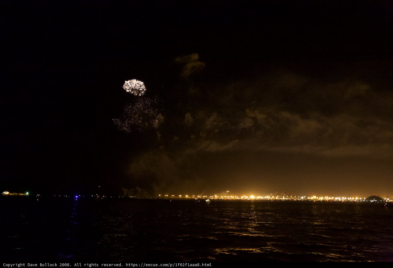 Sparkling Night Sky Captured on the Fourth of July