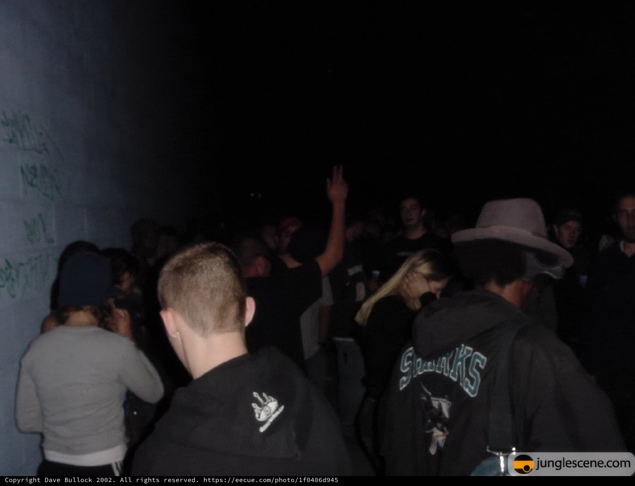 Nightclub Crowd