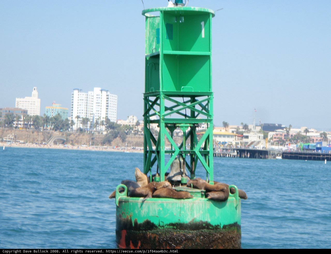 The Green and White Tower by the Waterfront