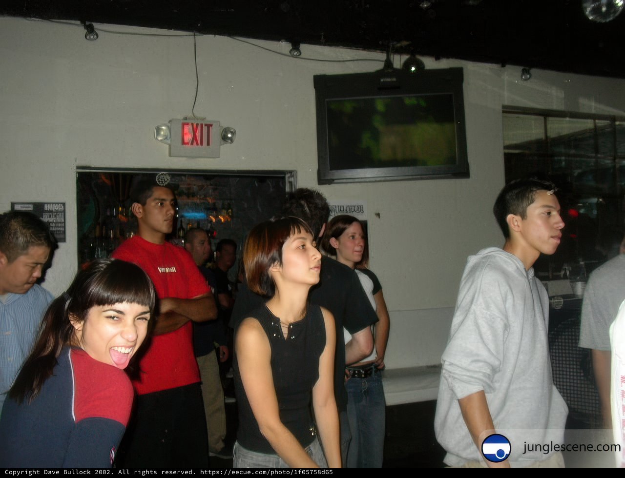 Nightclub Gathering