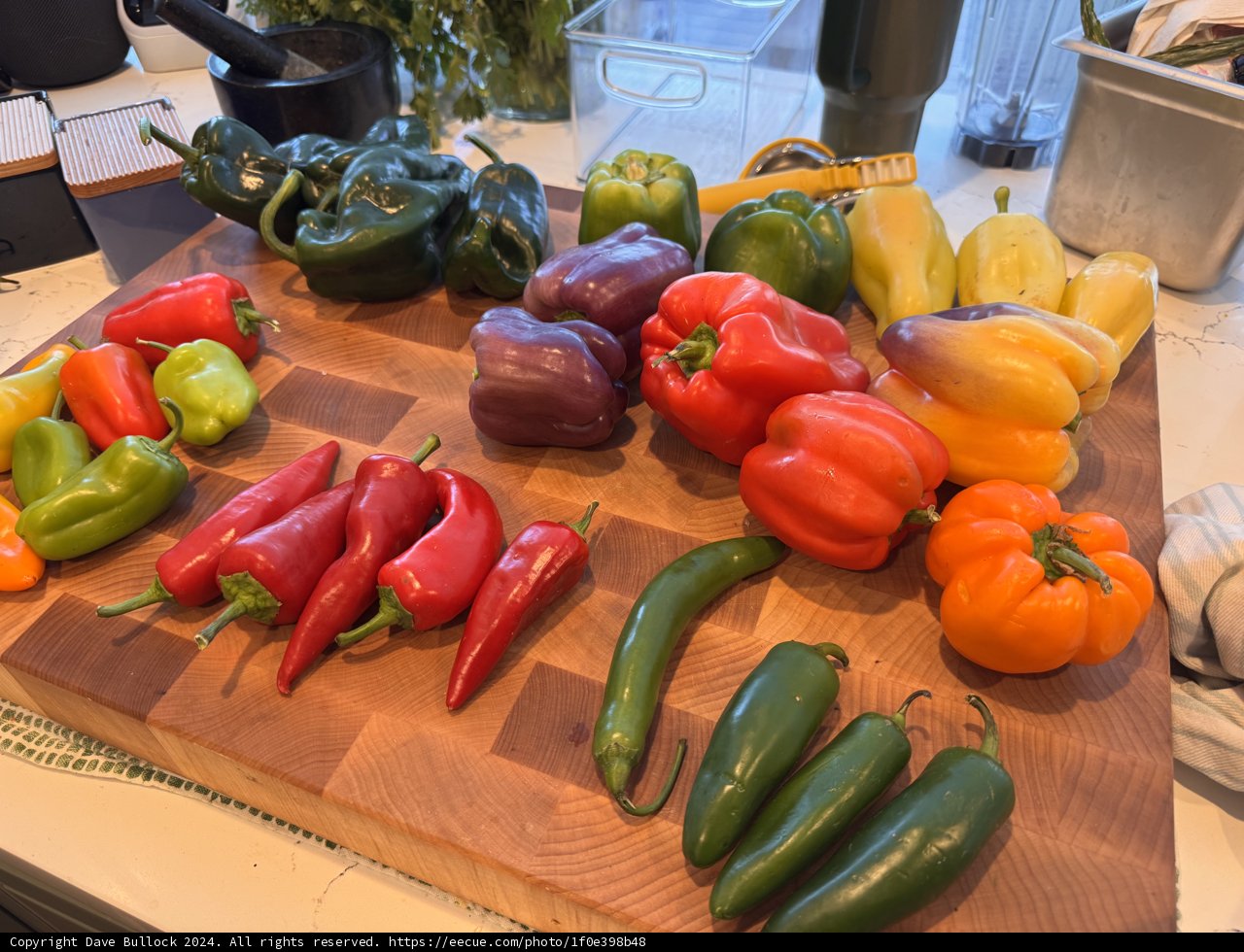 A Palette of Peppers