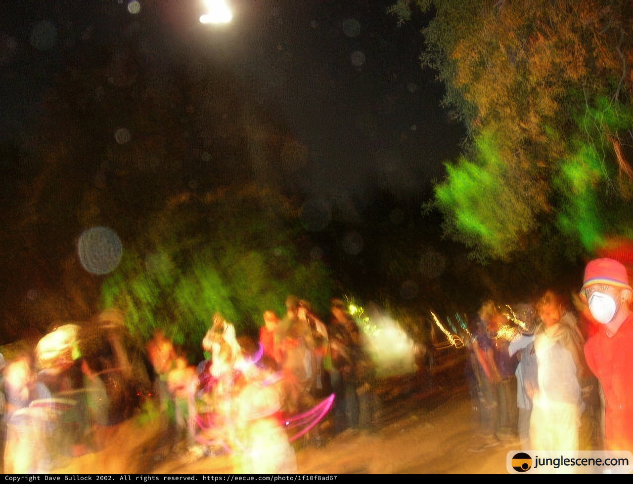 Moonlit Crowd