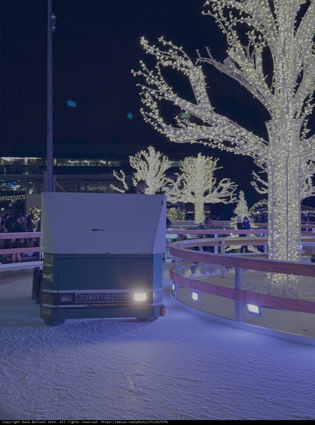Winter Evening Bus in Festive Light Display