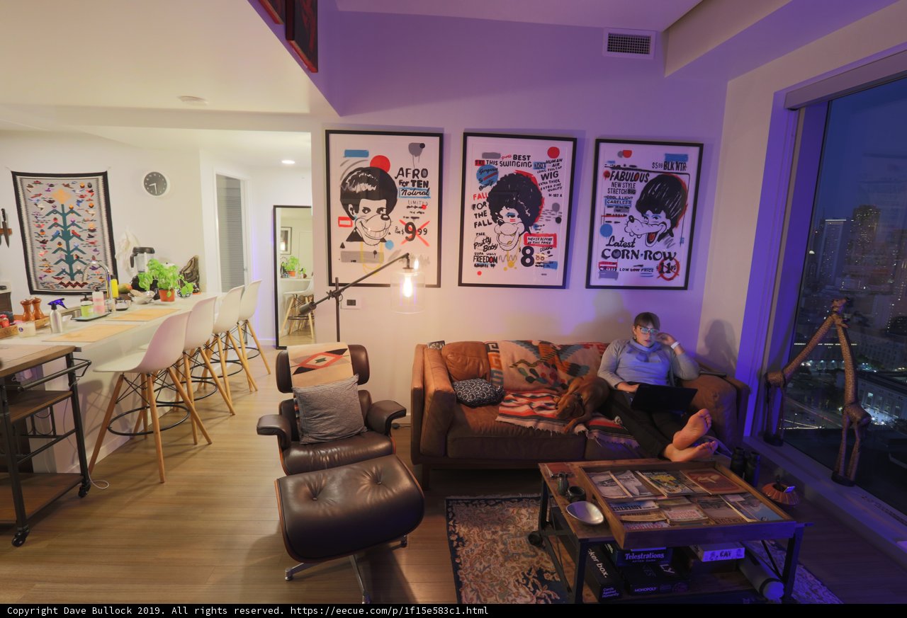 Cozy Living Room in San Francisco