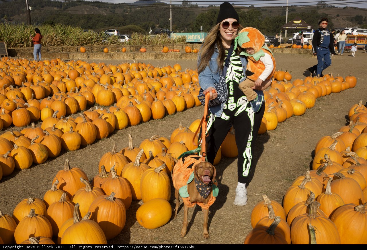 A Cozy Autumn Day in Halfmoon Bay: 2023 Pumpkin Patch Adventure