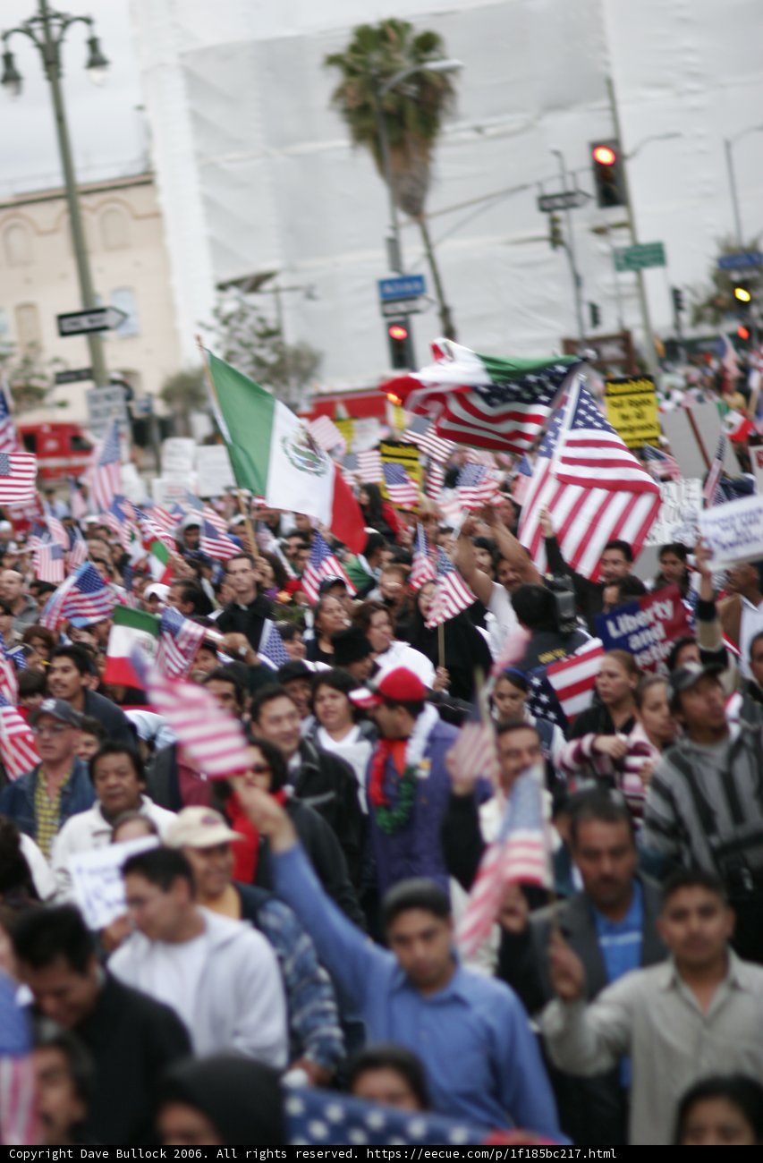 Patriotic Crowd
