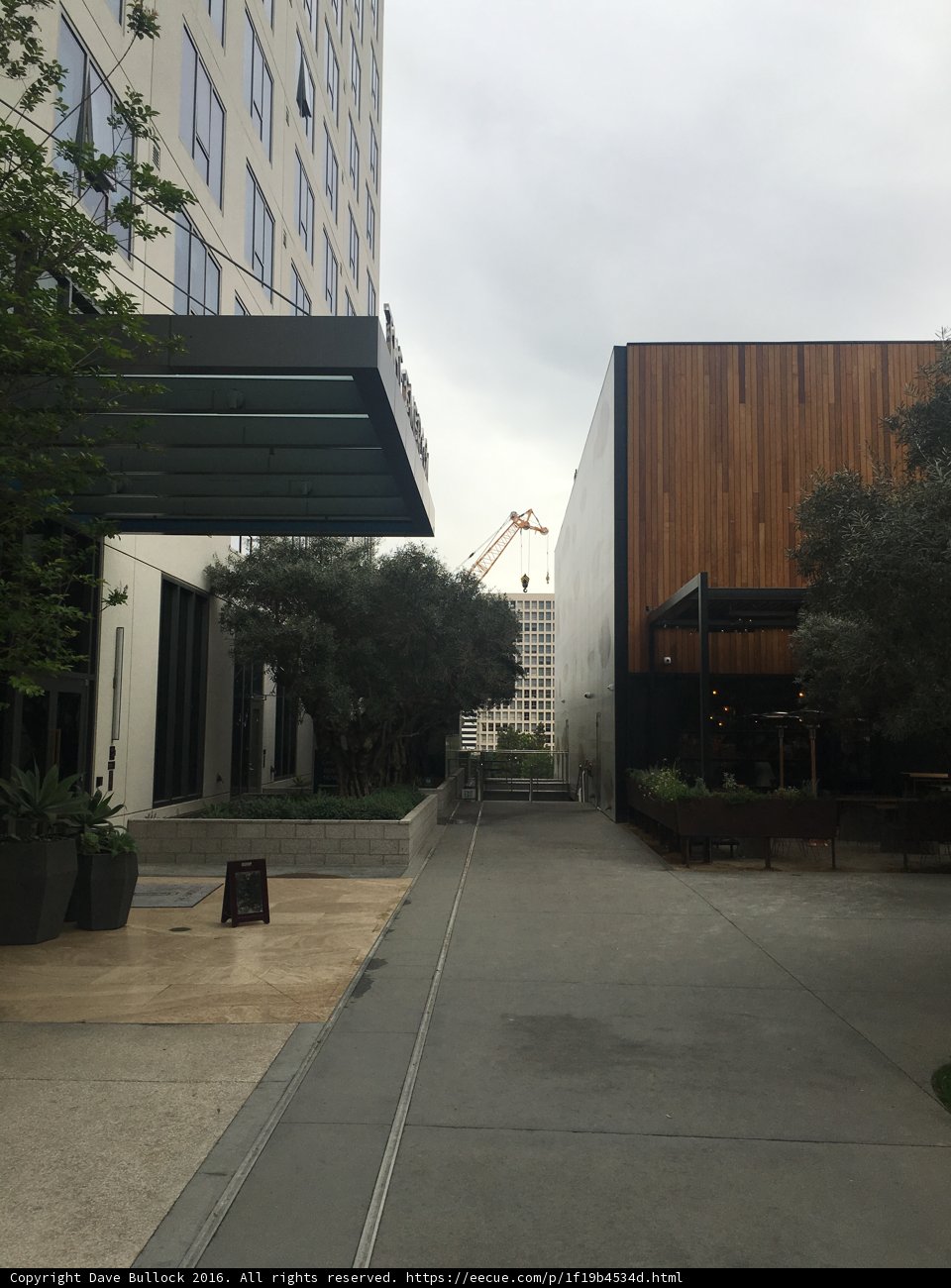 Urban Oasis