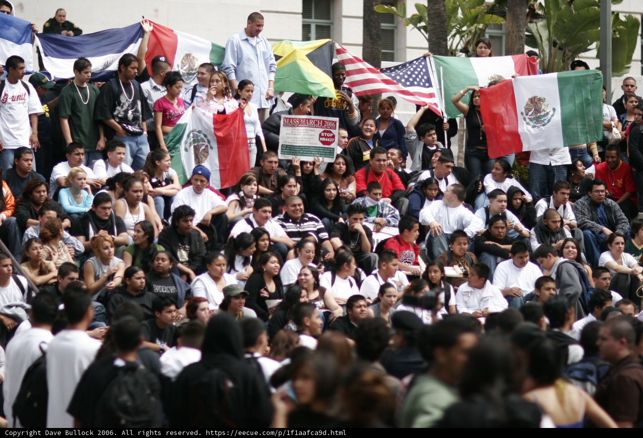 Mexican Flags Unite the Crowd