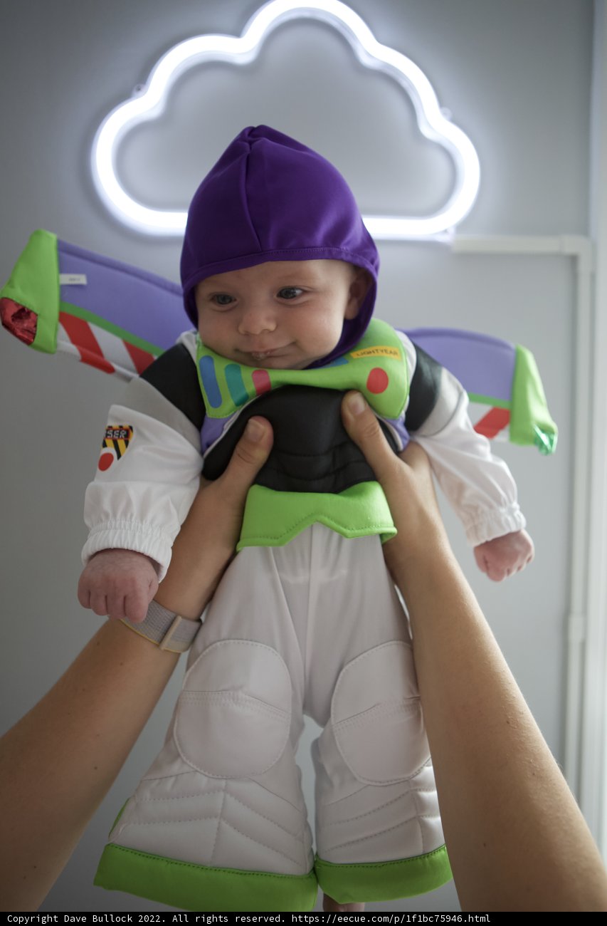 Buzz Baby