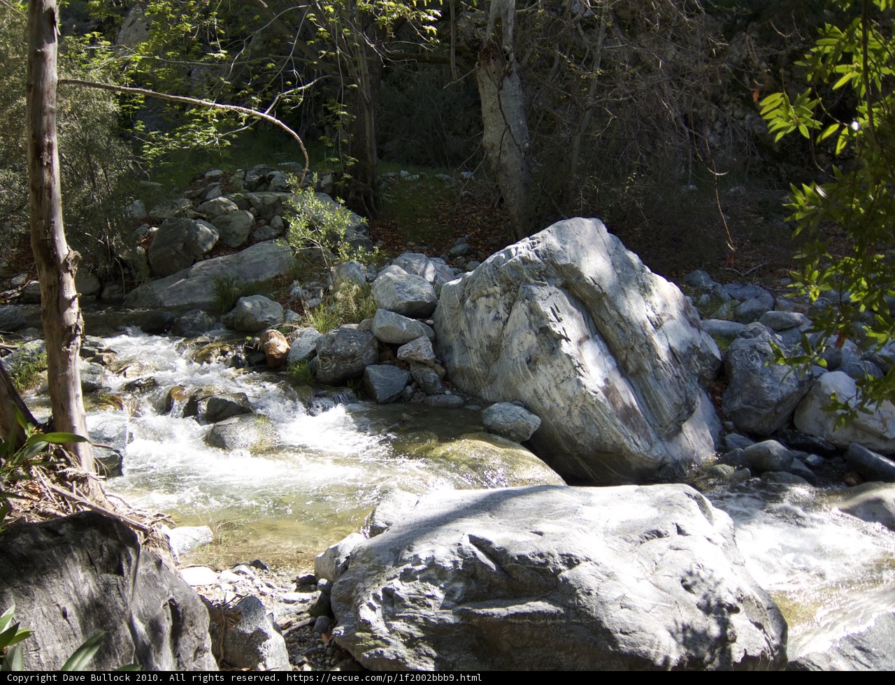 Serene Creek in the Wilderness