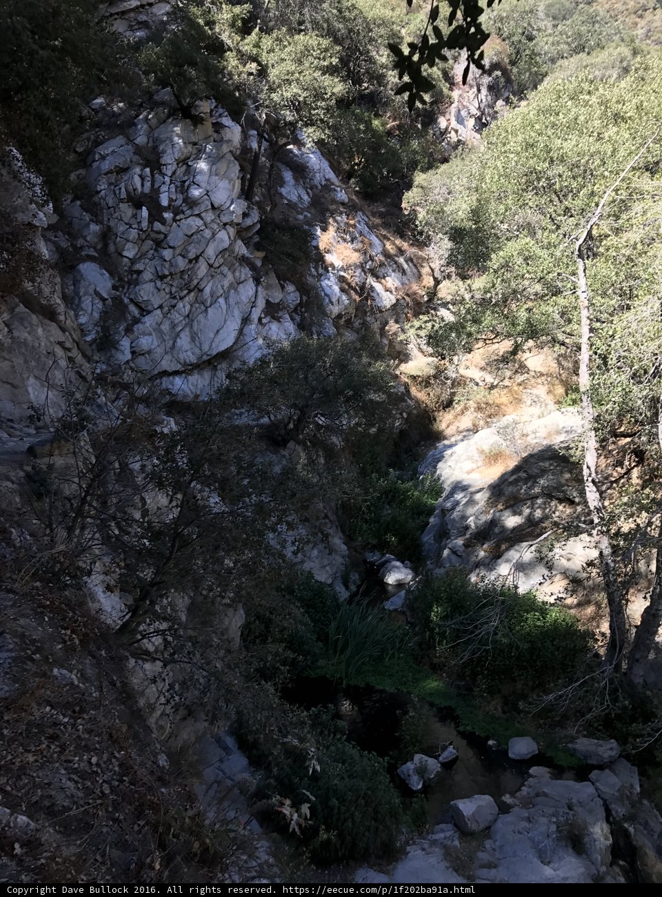 Wilderness Stream in Angeles National Forest