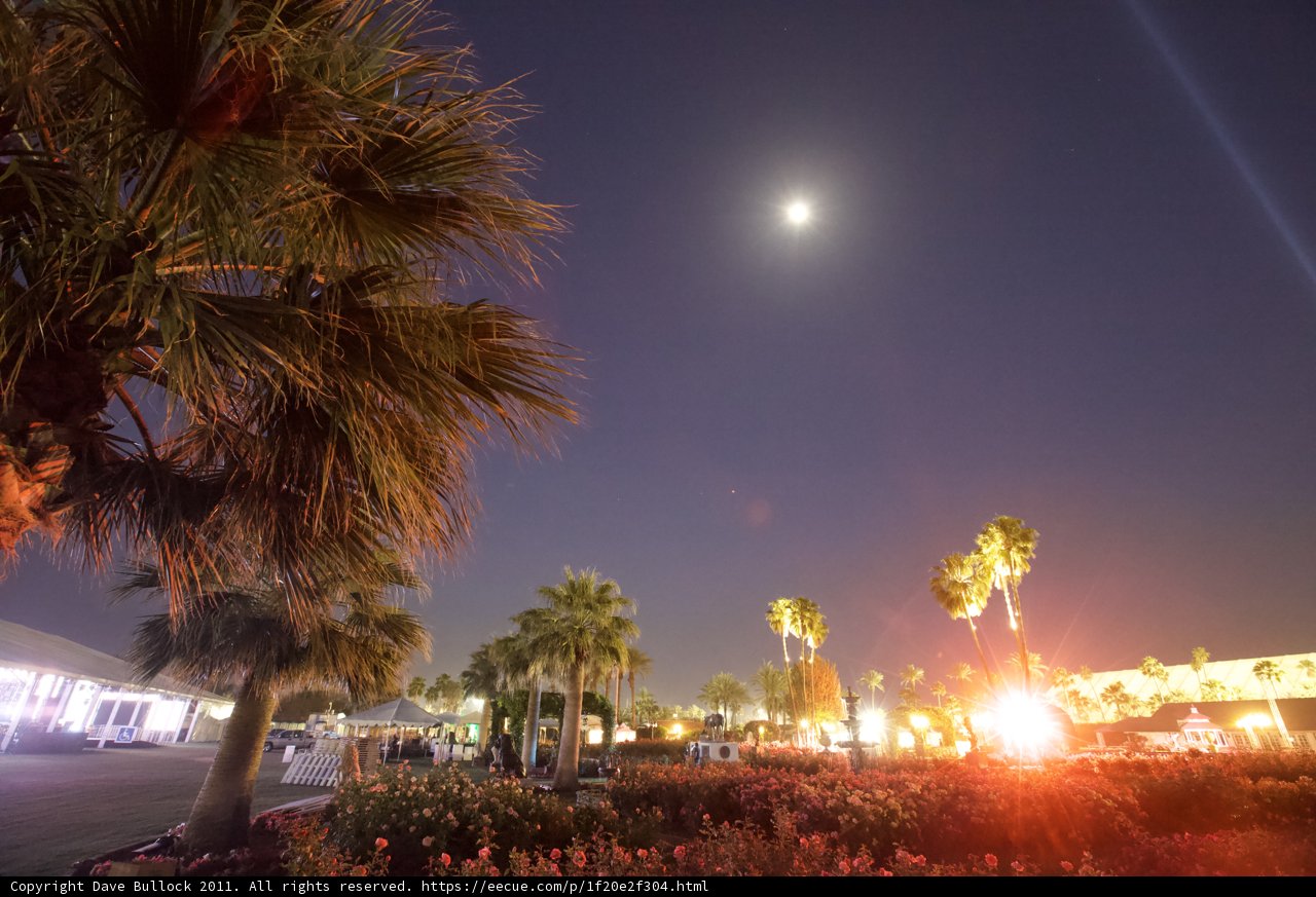 Moonlit Oasis