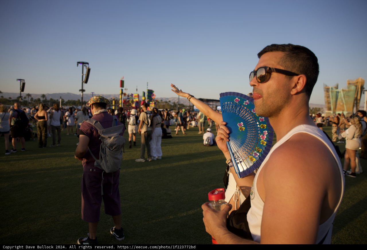 Vibes of Coachella: A Celebration Under the Sun