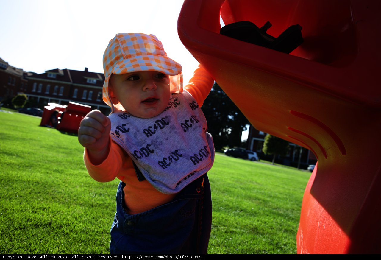Sunshine and Smiles in the Park