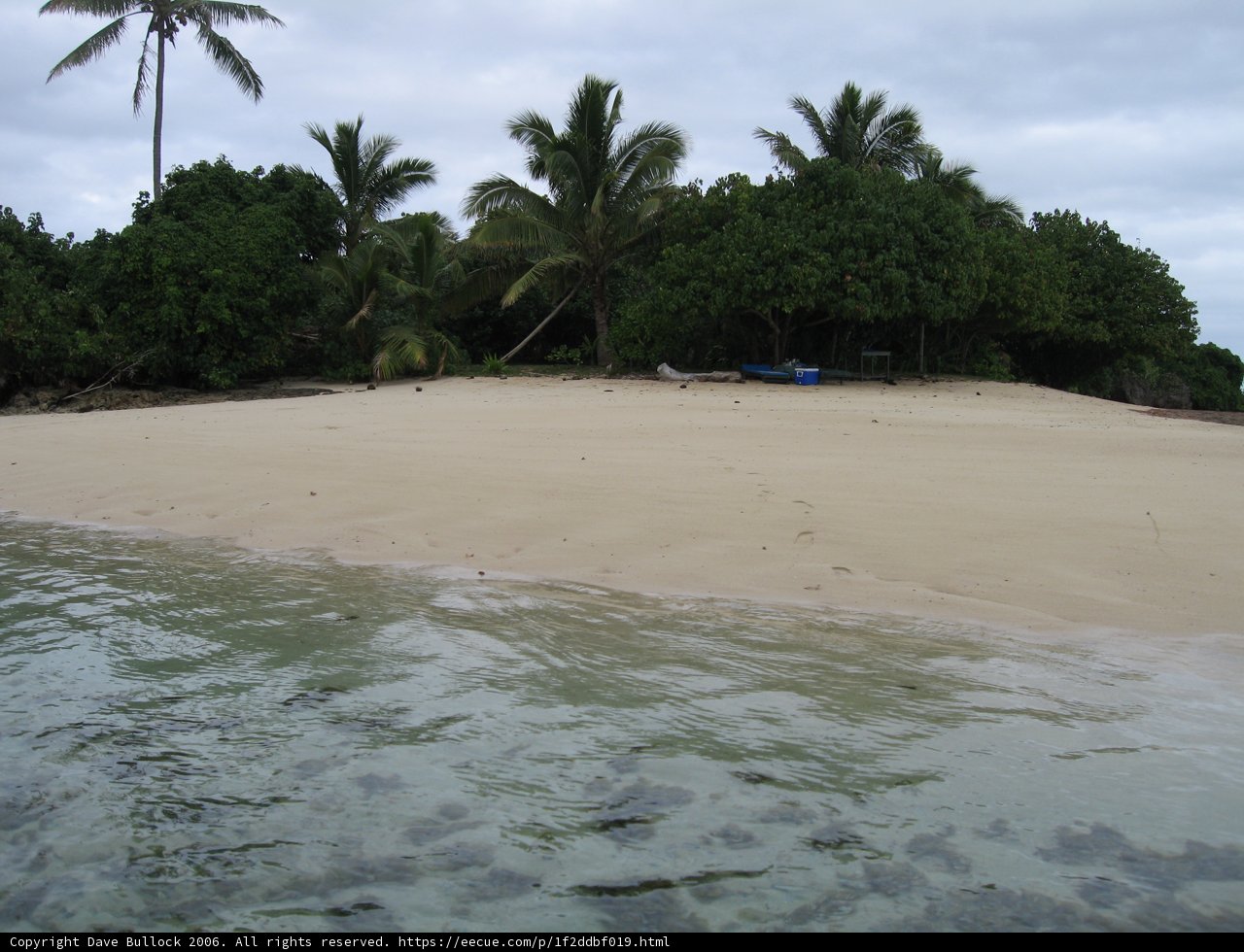 Tropical Paradise