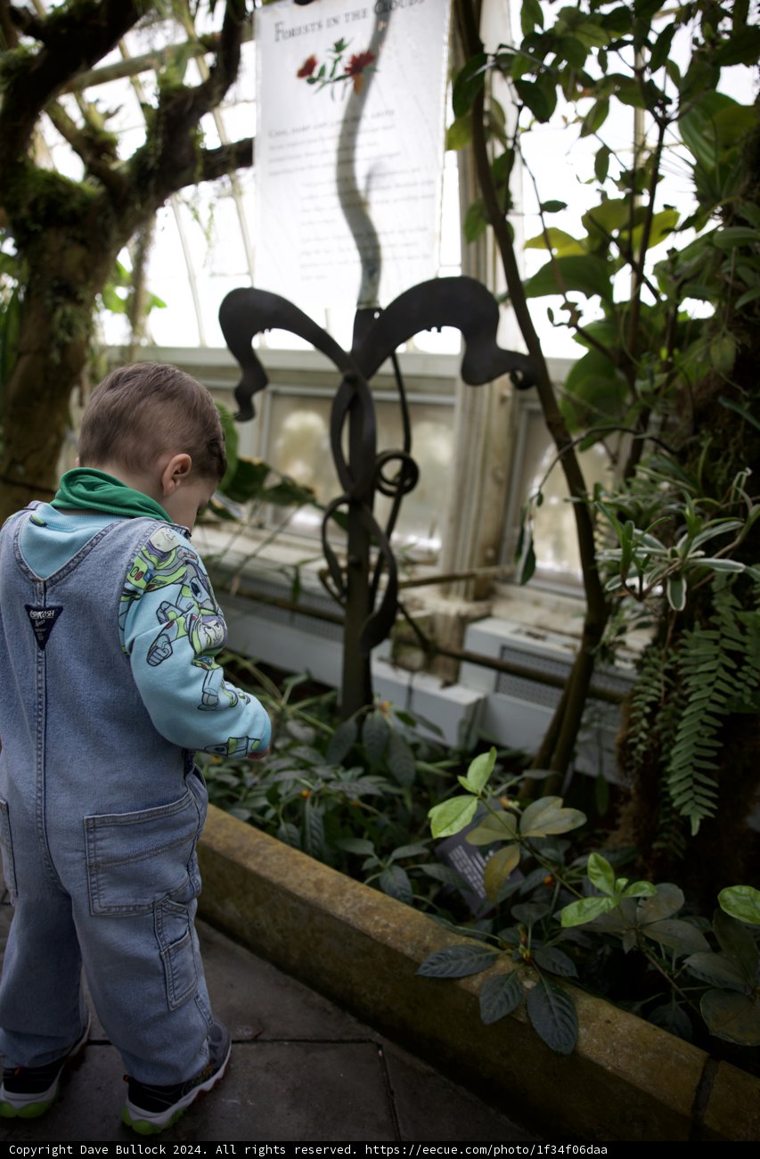Time and Nature: A Young Curiosity