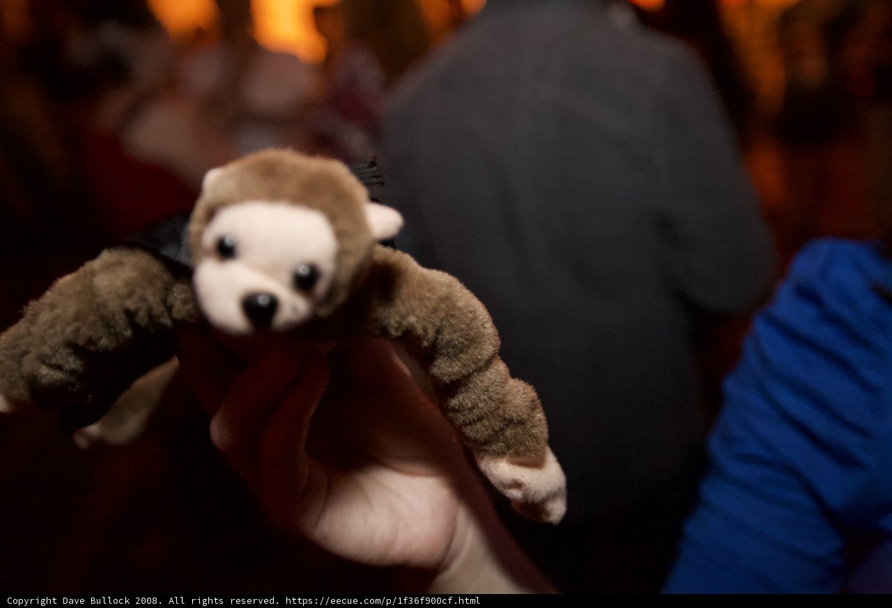 Monkey Business at the Party