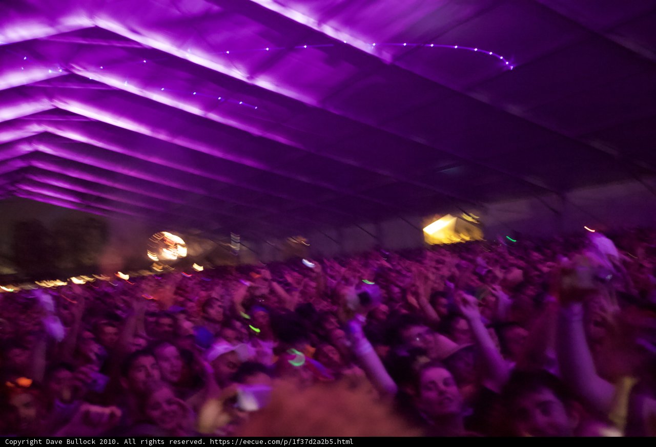 Purple Haze