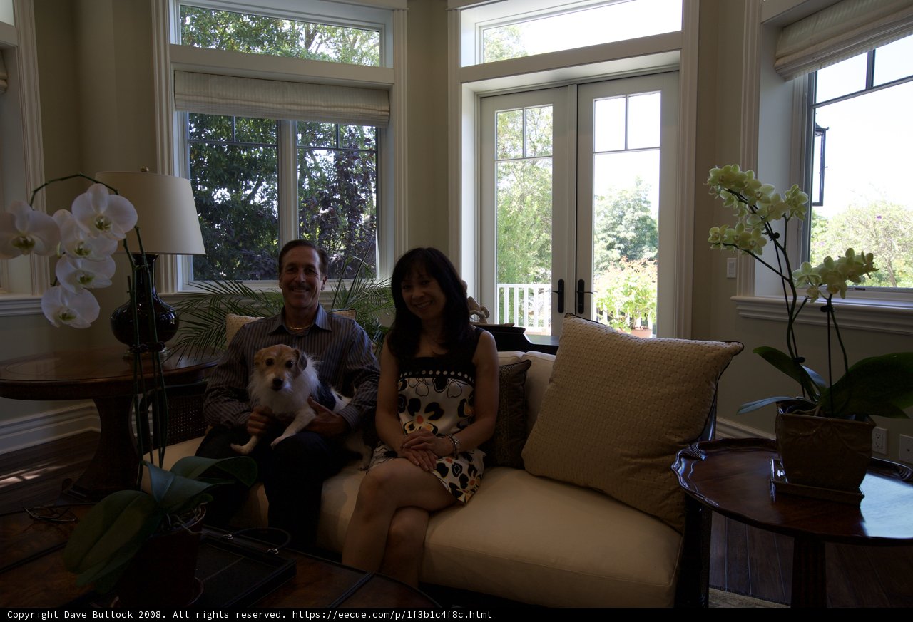 Cozy Living Room with Adorable Dog