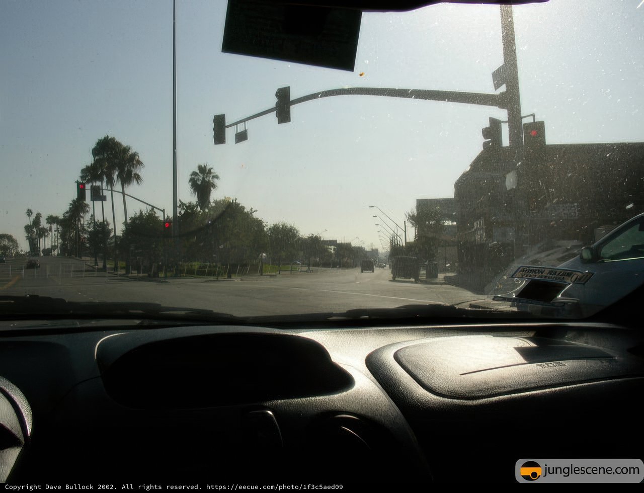 Street View from Inside the Car