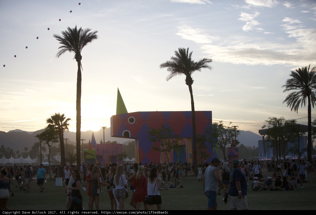 A Summery Walk Amidst the Palms
