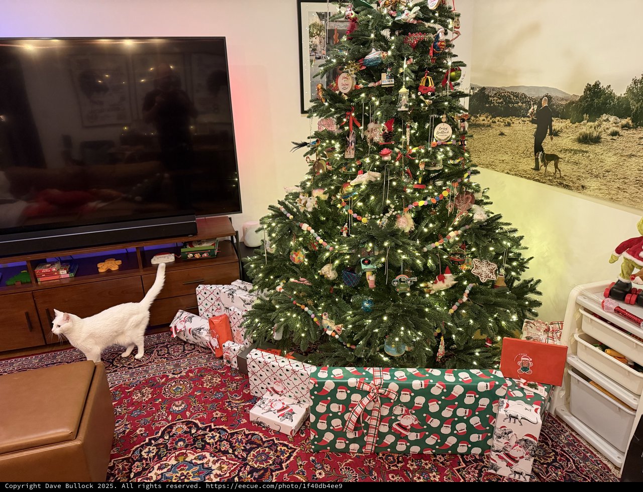 Christmas Morning with Curious White Cat and Decorated Tree