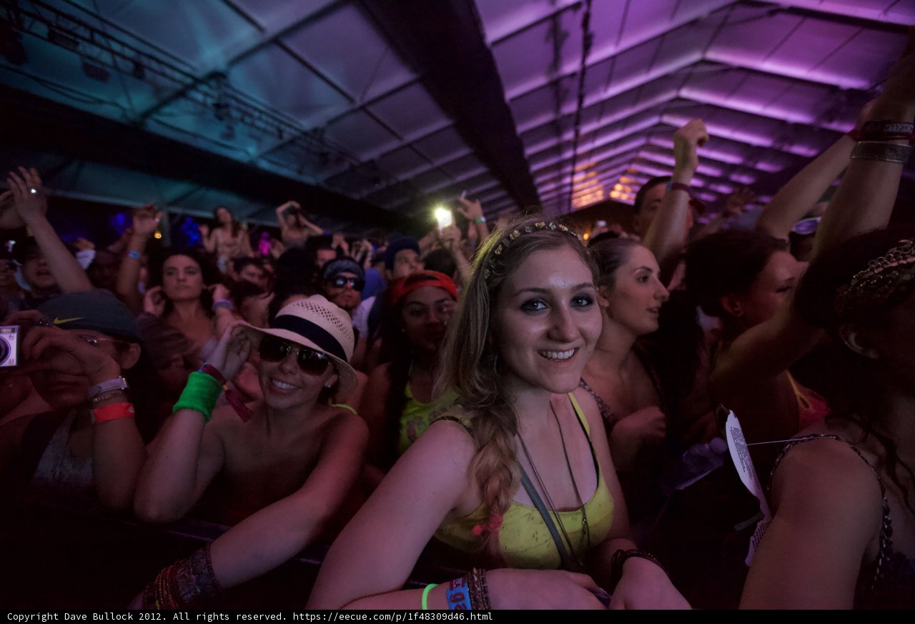 Music Festival Vibes