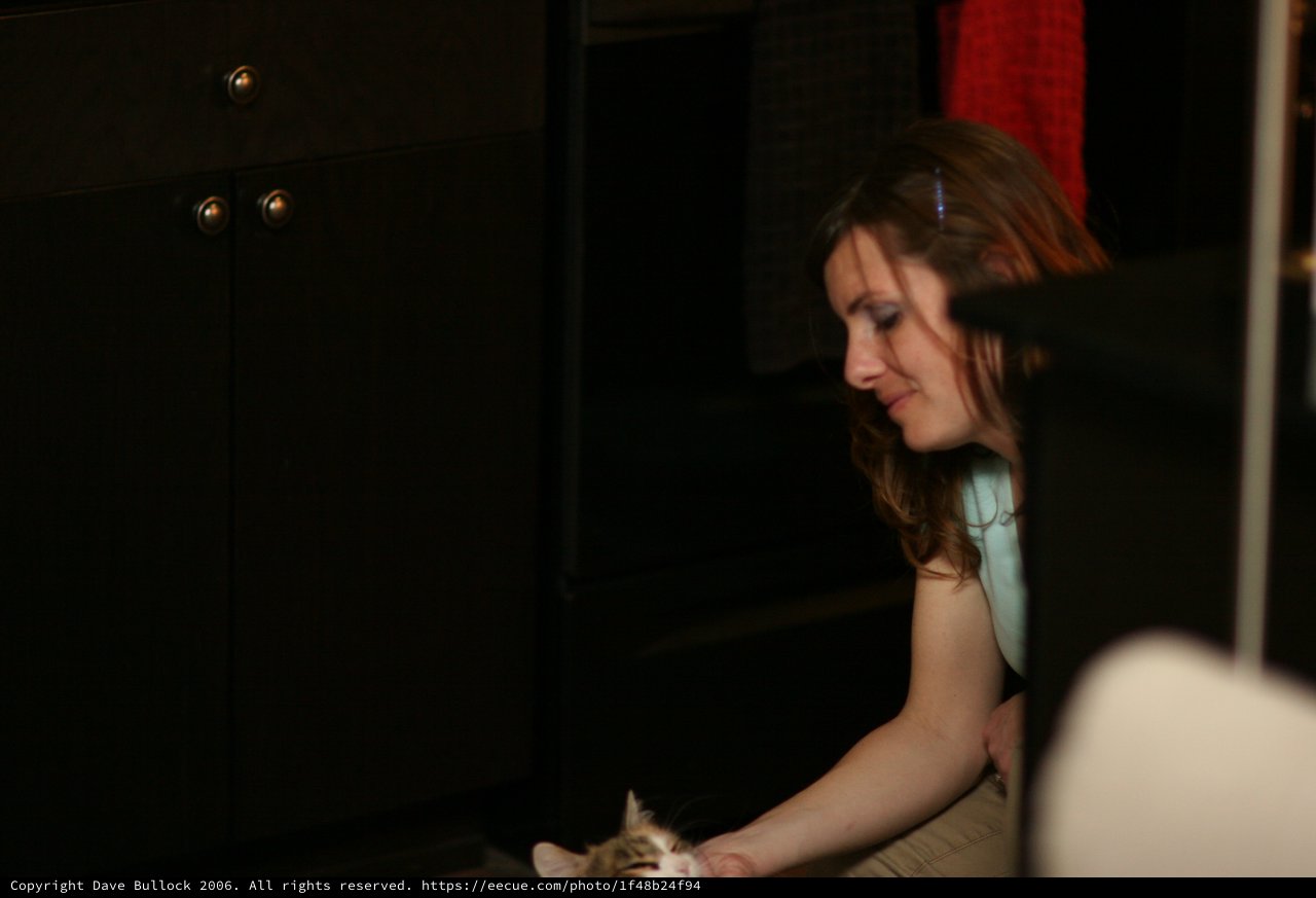 Young Woman Tenderly Interacting with a Kitten