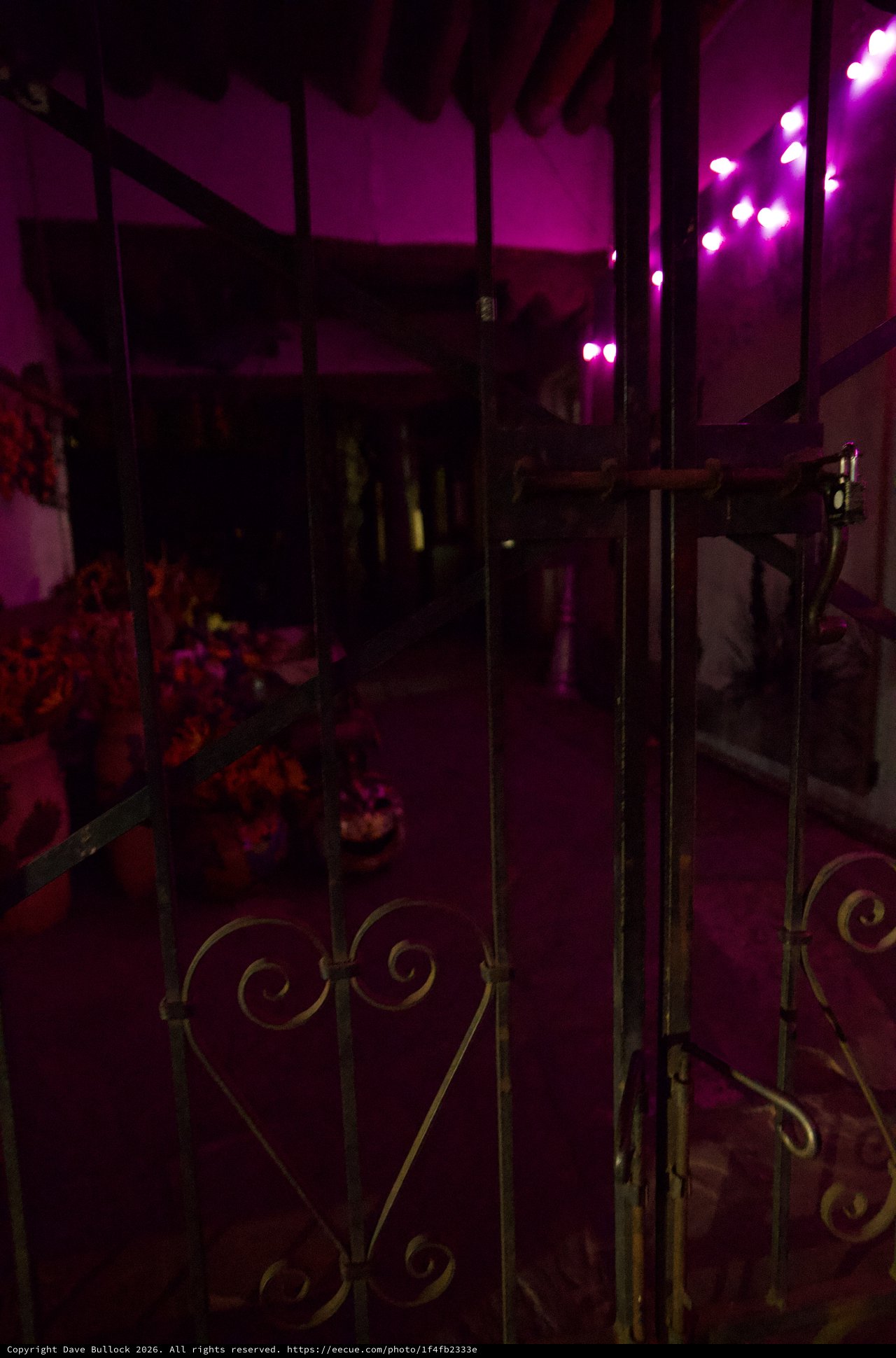 Purple-Lit Garden Patio with Decorative Metal Gate at Night