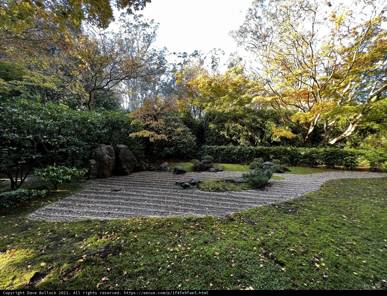Serenity in the Japanese Tea Garden