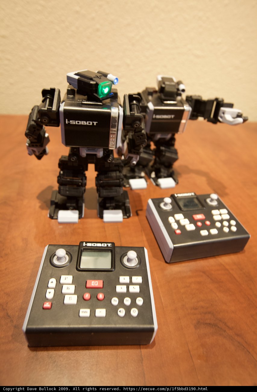 Robotic Wooden Duo