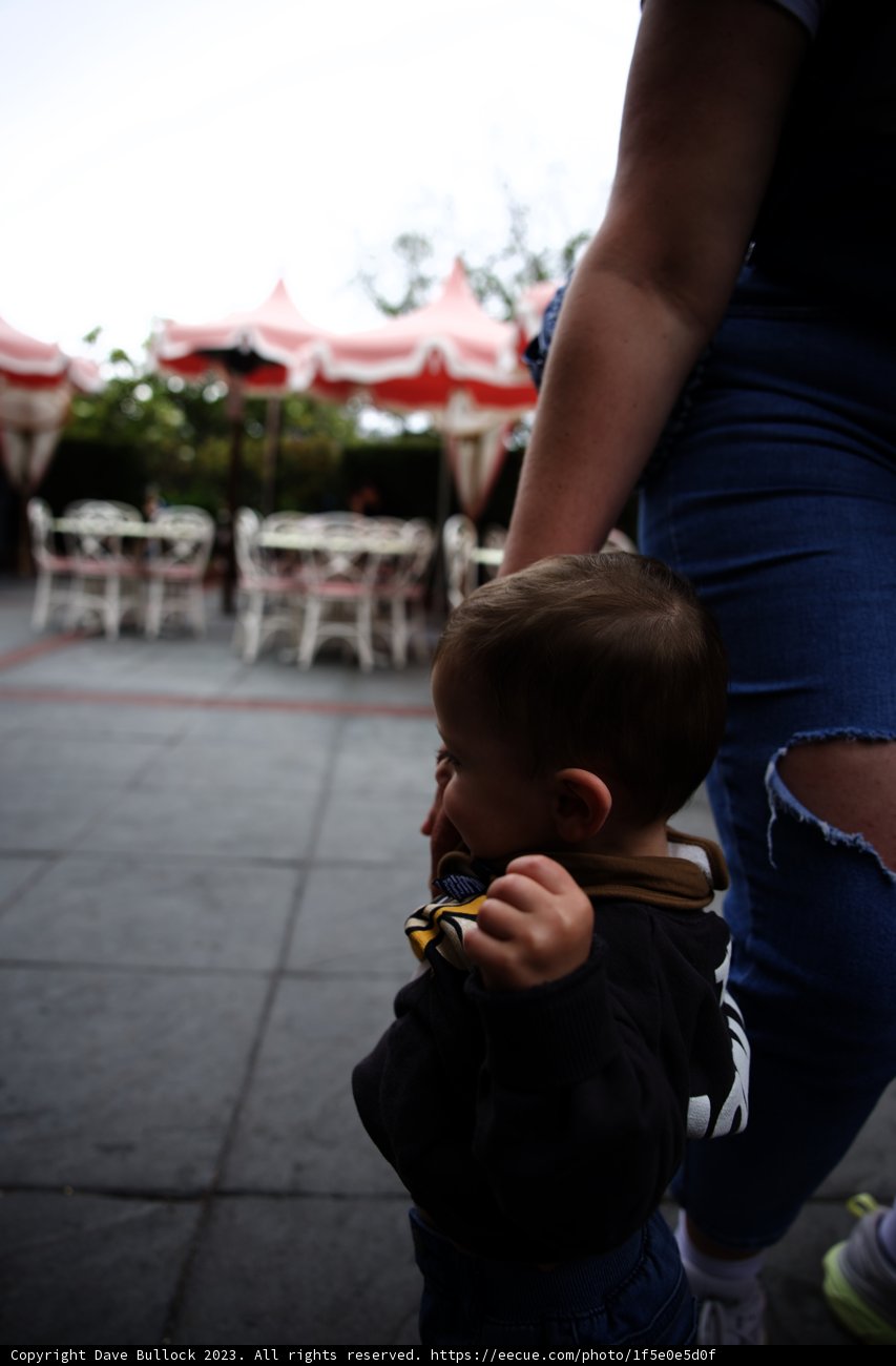 A Cherished Stroll in the City