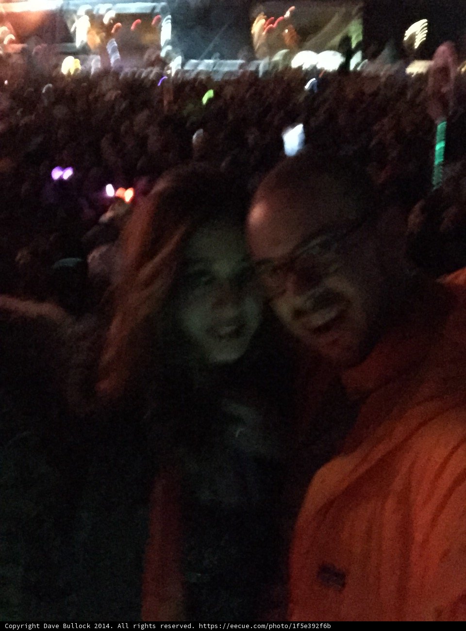 Selfie Lovebirds
