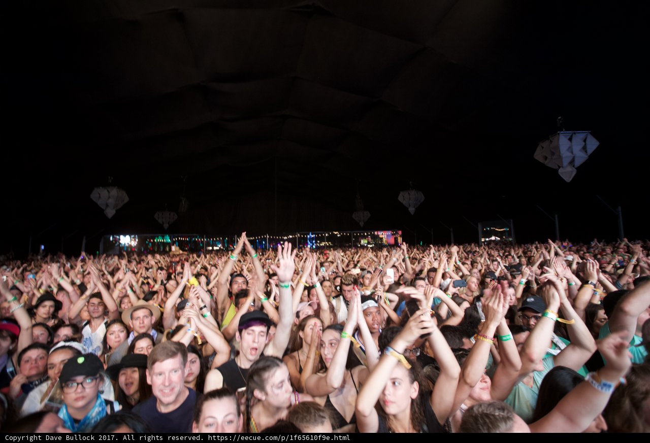 Hands Up at Coachella