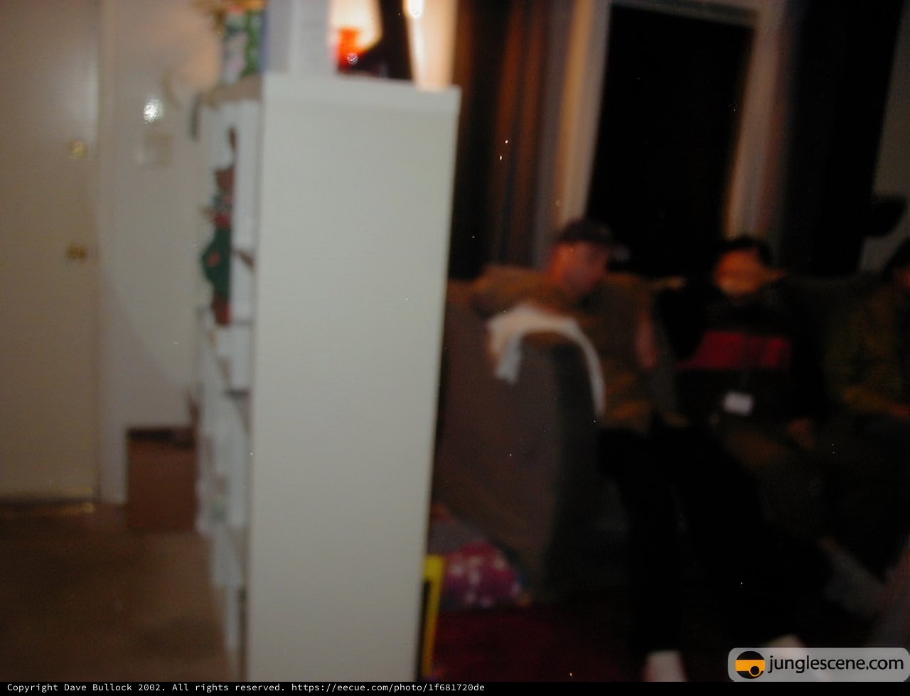 Blurry Living Room Gathering