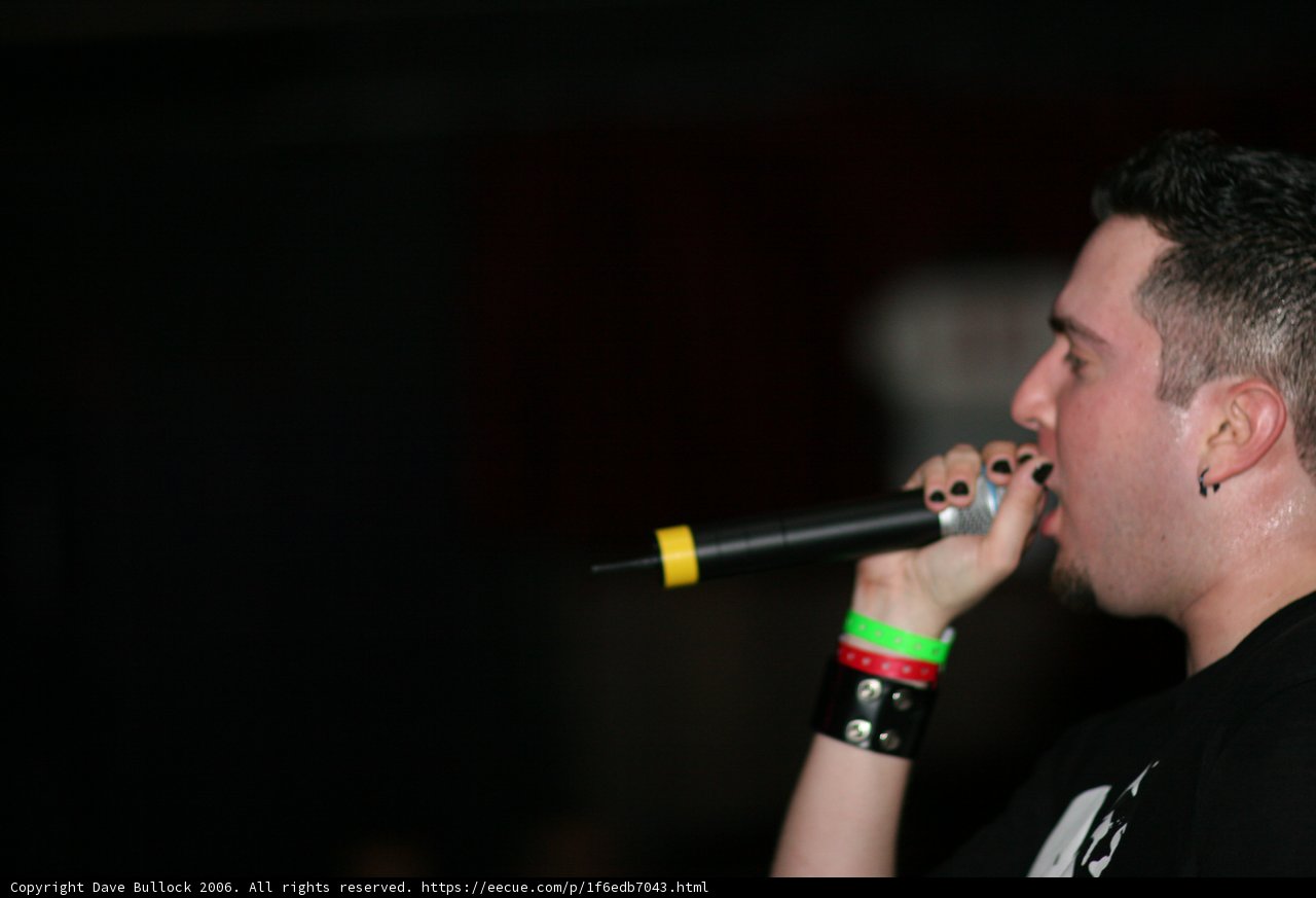 Mic in Hand, Crowd in the Background