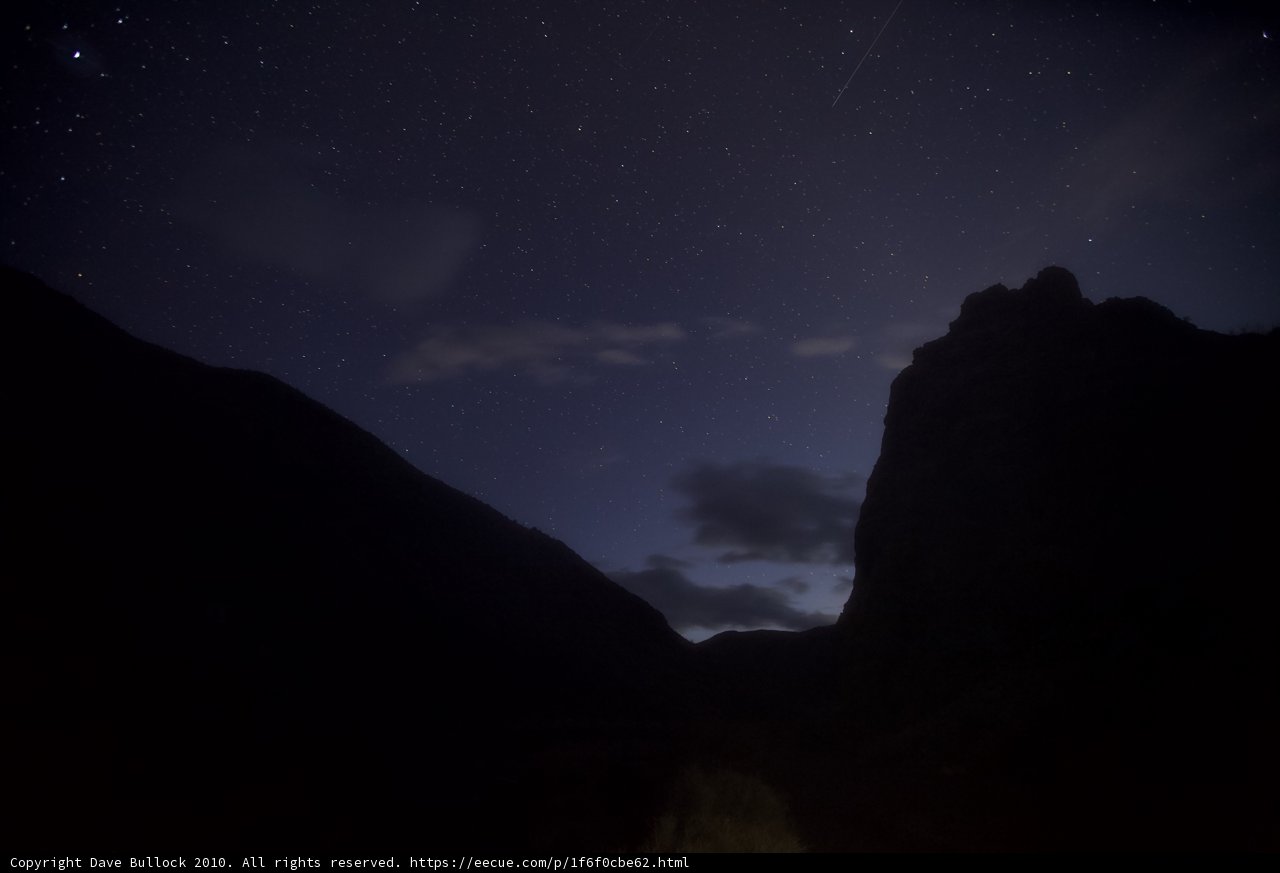 Nighttime Majesty