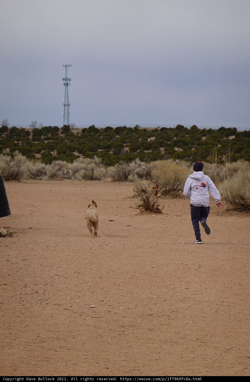 Running Through the Desert