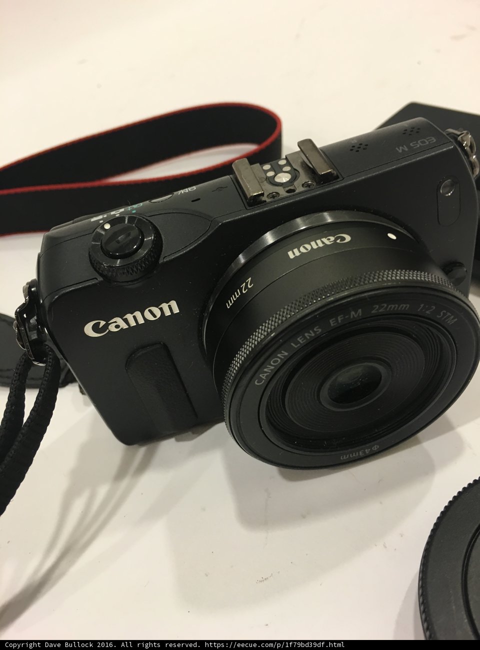 Canon EOS M5 with 18-55mm Kit Lens at The Broad